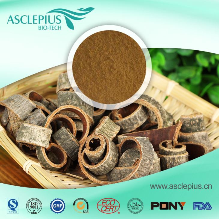 Cyflenwr Powdwr Detholiad Rhisgl Magnolia Cyfanwerthu / Y Cynhwysion Gweithredol yw Honokiol, magnolol