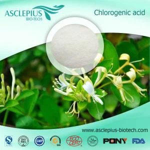 Asid Chlorogenic , Ffa Coffi Gwyrdd Detholiad Powdwr Atchwanegiad Cyflenwr Cyfanwerthu