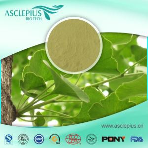 Ginkgo Biloba Leaf Detholiad Powdwr Cyflenwr Cyfanwerthu