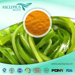 Detholiad Gwymon Kelp, gwymon Fucoidan, fucoxanthin 5% 10% Cyfanwerthu Cyflenwr